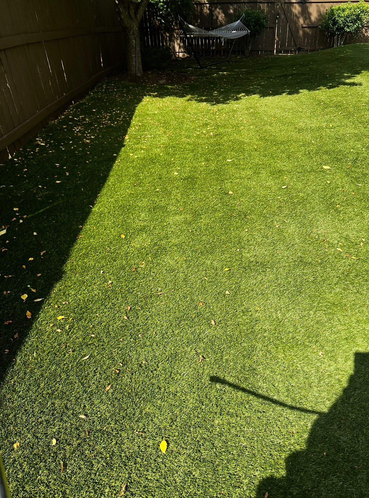 A freshly cleaned Atlanta yard after Tidy Tails service