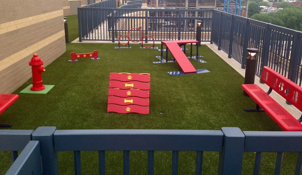 dogpark-e1746591876672