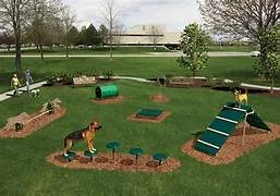 dogpark2
