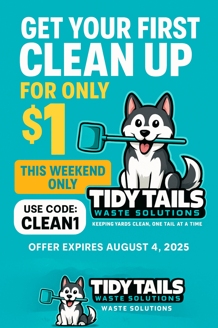 First cleanup only $1