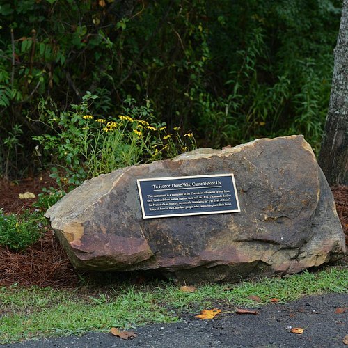 Dog Poop Removal in Roswell