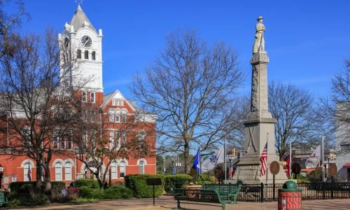 Pet Waste Pickup in McDonough